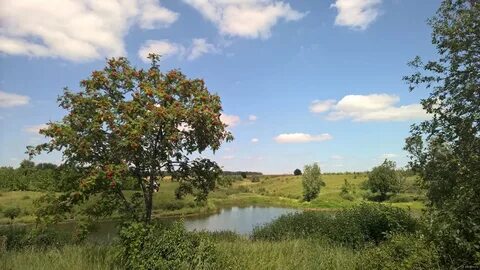 Родной край липецкая область