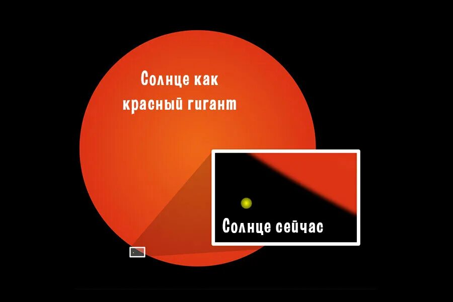Когда солнце станет гигантом. Красные гиганты и солнце Размеры. Сравнение красного гиганта и солнца. Красный гигант по сравнению с солнцем. Солнце как красный гигант.