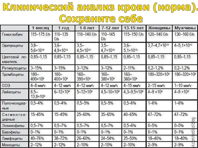 Лейкоциты в моче у ребенка 10 лет. Показатели лейкоцитов в крови норма у женщин. показатель лейкоцитов в крови норма у мужчин. норма лейкоцитов в крови у женщин после 40. лейкоциты в крови норма у мужчин по возрасту таблица.