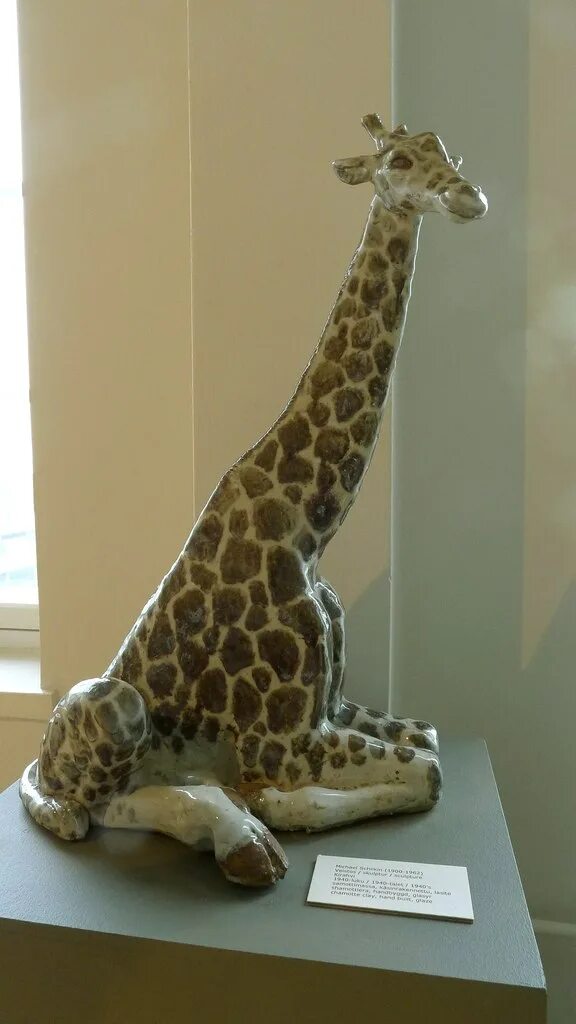 Giraffe manor 5. Государственный дарвиновский музей. Зоологический музей самара. Музеи москвы дарвиновский музей. Московский зоопарк виртуальная экскурсия.