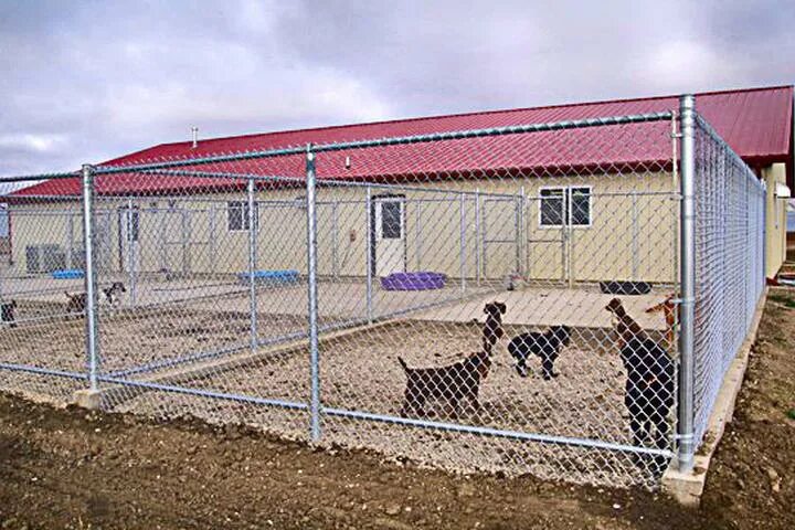 Питомник собак. Вольеры питомника. Нижегородский питомник собак.