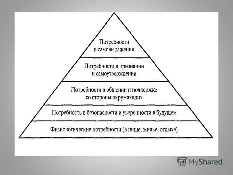 Сестринское дело предметы 1 курса. Сестринское дело предметы 1 курса. Сестринское дело предметы 1 курса. Какие предметы изучают в мед колледже на 1 курсе. Зачетная книжка.
