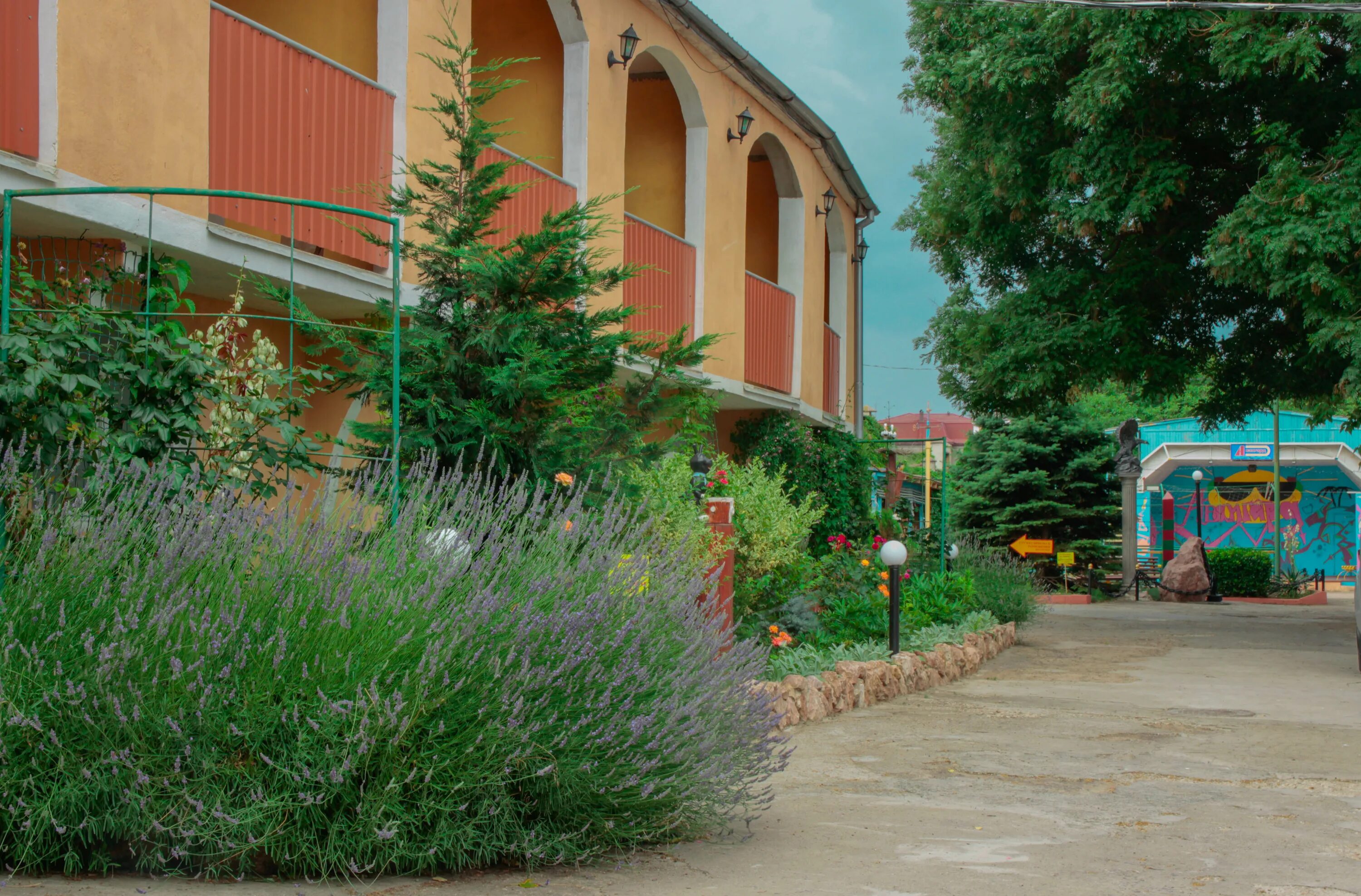 Улица ленина николаевка крым. Адреса николаевка. Николаевка оазис. Николаевка крым улица чудесная. Крым николаевка гостевой дом морской бриз.