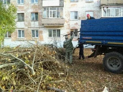 Вывоз веток с участка