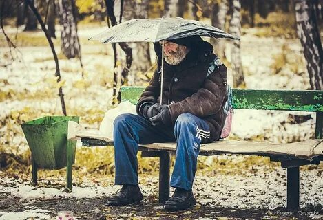 В позднюю осень старик заметил