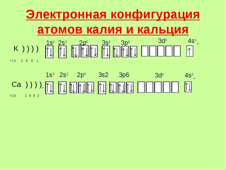 Электронно графическая формула 20 элемента. Электронно-графическая схема атома кальция. строение атома элемента кальция. калий электронно графическая формула. графическая формула иона кальция 2+.