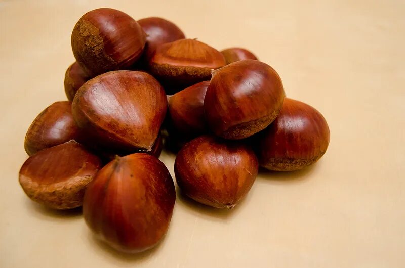Castanea mollissima. Каштан съедобный. Каштаны в москве съедобные. Жареные каштаны. Каштаны в москве съедобные.