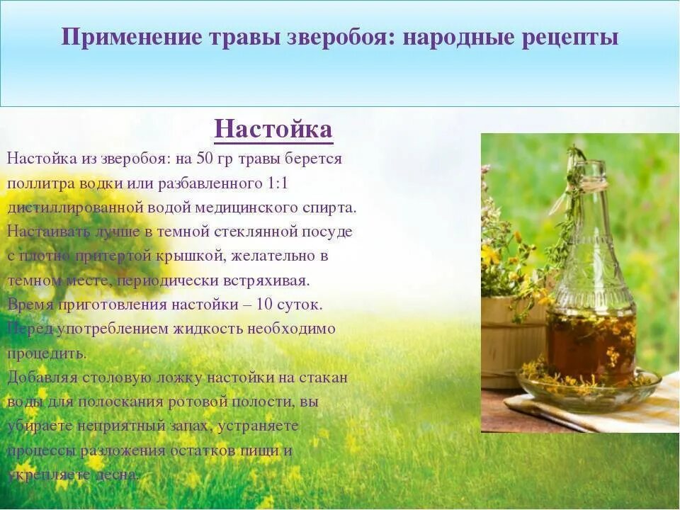 Народное применение зверобоя. Настойка на травах. Настойка зверобоя. Рецепты настои и отвары из лекарственных растений. Экстракт травы зверобоя.