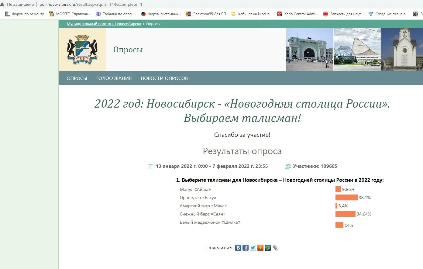 Где можно проголосовать в новосибирске. Талисман Новосибирск 2022. Талисман новогодней столицы Новосибирска проголосовать. Талисман Новосибирска выборы. Бату Новосибирск.