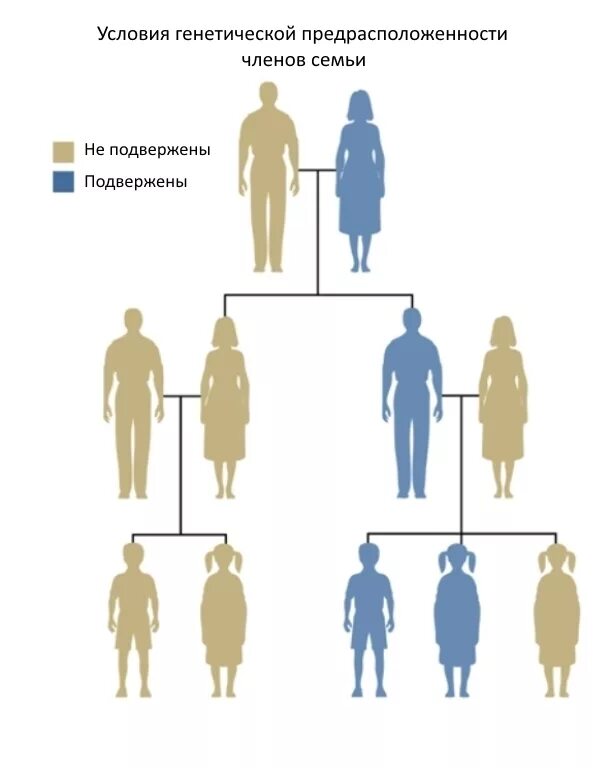 Передается ли деменция по наследству. Схема передачи шизофрении по наследству от матери. схема наследования шизофрении. генетическая схема наследования шизофрении. схема передачи шизофрении по наследству от отца.