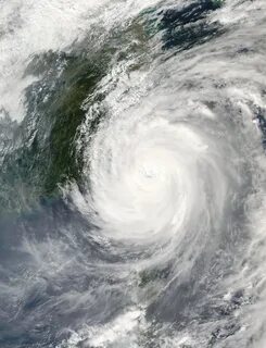 Морской тайфун