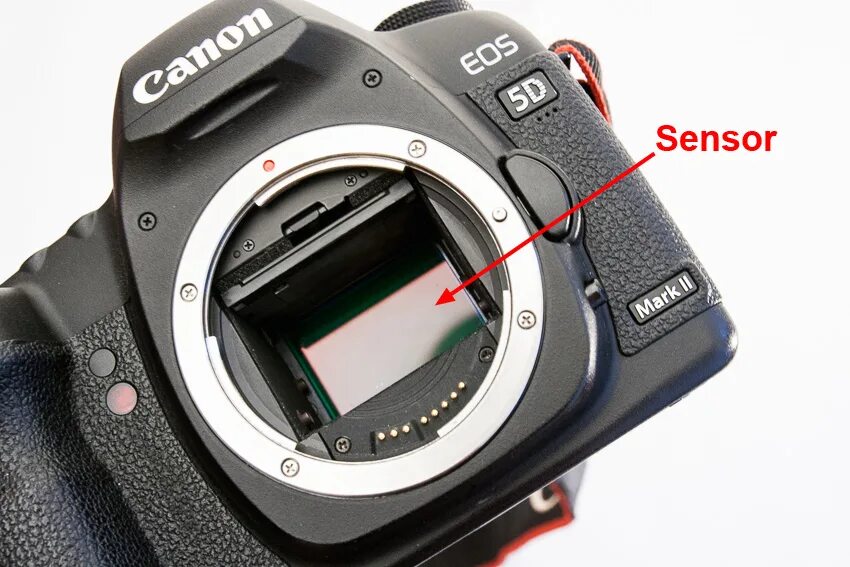 Camera sensor. Canon 5d mark 3 переходник для микроскопа. подъем зеркала пользовательская функция mirror up canon 5d m ii. cleaning mirror dslr camera.
