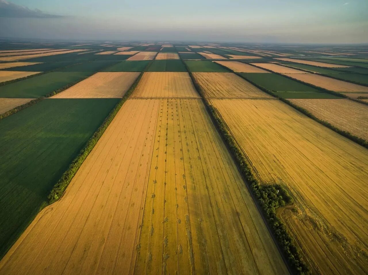 Рисовые поля на Кубани. Пахотные земли Украины. Поле вид сверху. Сельскохозяйственные поля.