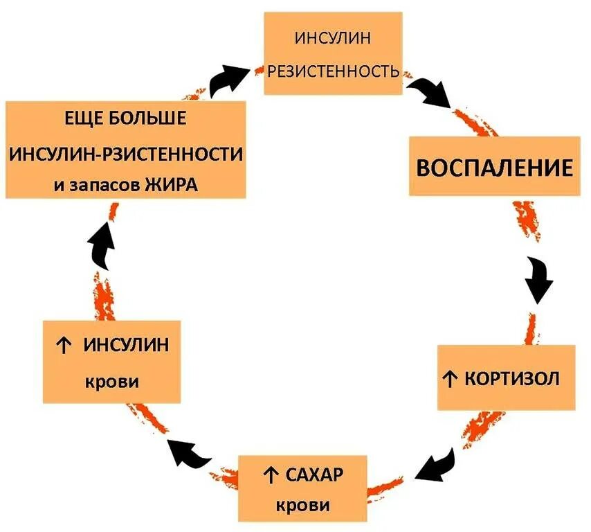 Гормон повышающий стресс