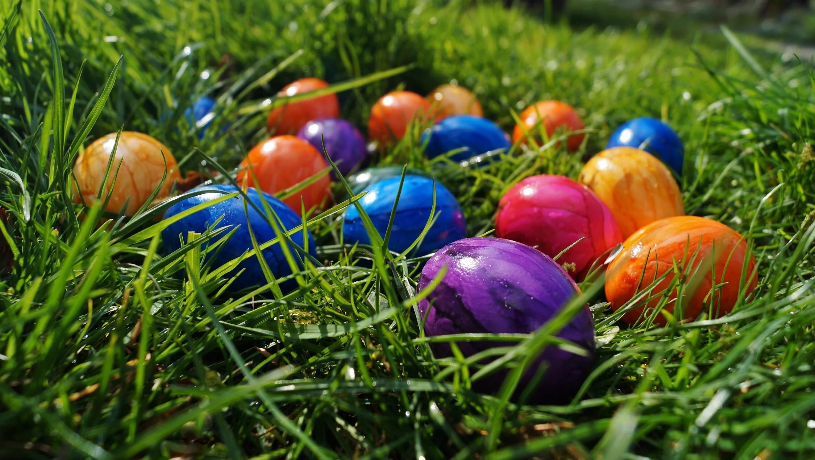 Пасхальное яйцо. Пасхальные яйца в Британии. Пасхальные традиции. Пасхальные яйца на траве.