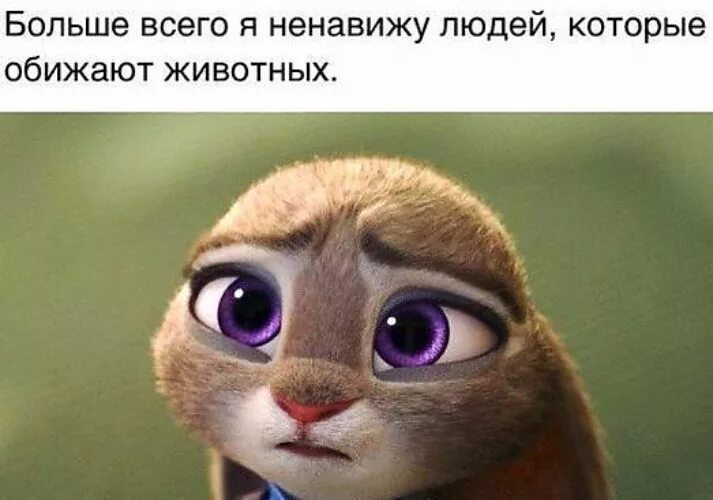 Человек который ненавидит животных