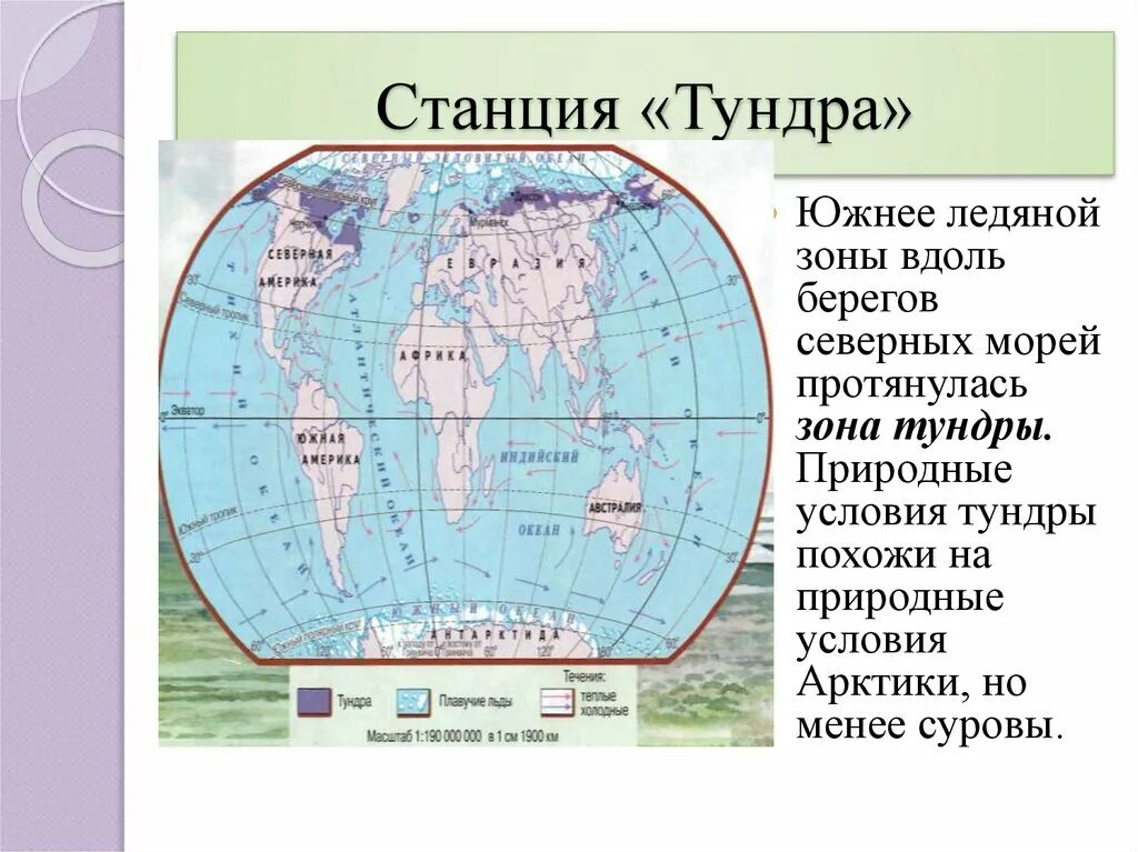 Расположение зоны тундры. Тундра на карте полушарий. Географическое положение тундры. Природная зона тундры расположение на карте.