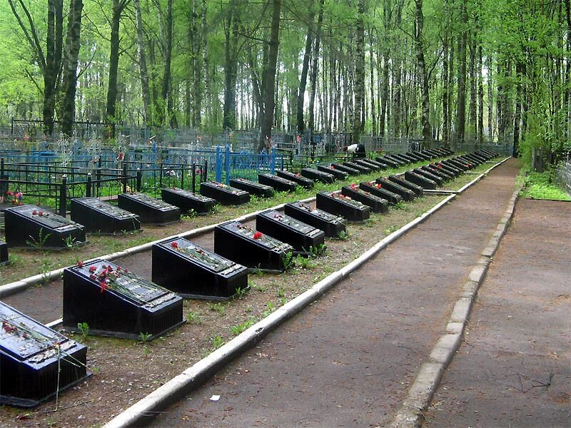 мемориал шаховская дор. памятник воинам сибирякам в тверской области г белый. памятник нефедьево тверская область. мемориальный комплекс братское захоронение. цемена-.