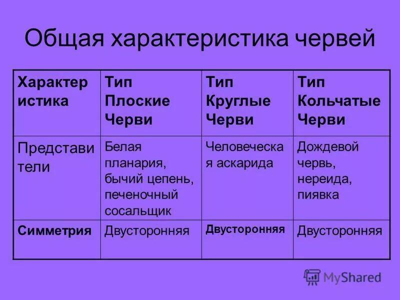Таблица о различии и сходстве кишечнополостных и плоских червей. Плоские и объемные фигуры 4 класс. Плоские черви круглые черви кольчатые черви строение. Отличие плоских фигур от объемных. Круглые плоские кольчатые черви различия.