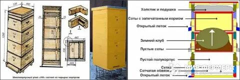 Сколько летков