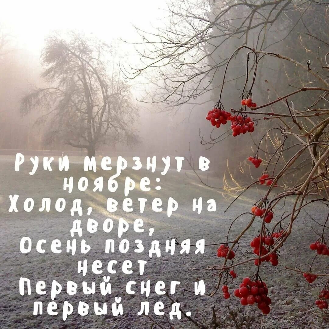 Февраль цитаты. Ноябрь картинки. стихи про ноябрь. стихи про позднюю осень. цитаты про ноябрь.