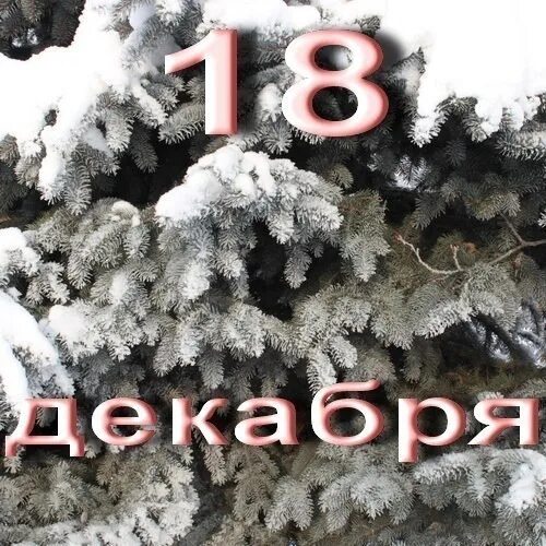 11 12 2018 год