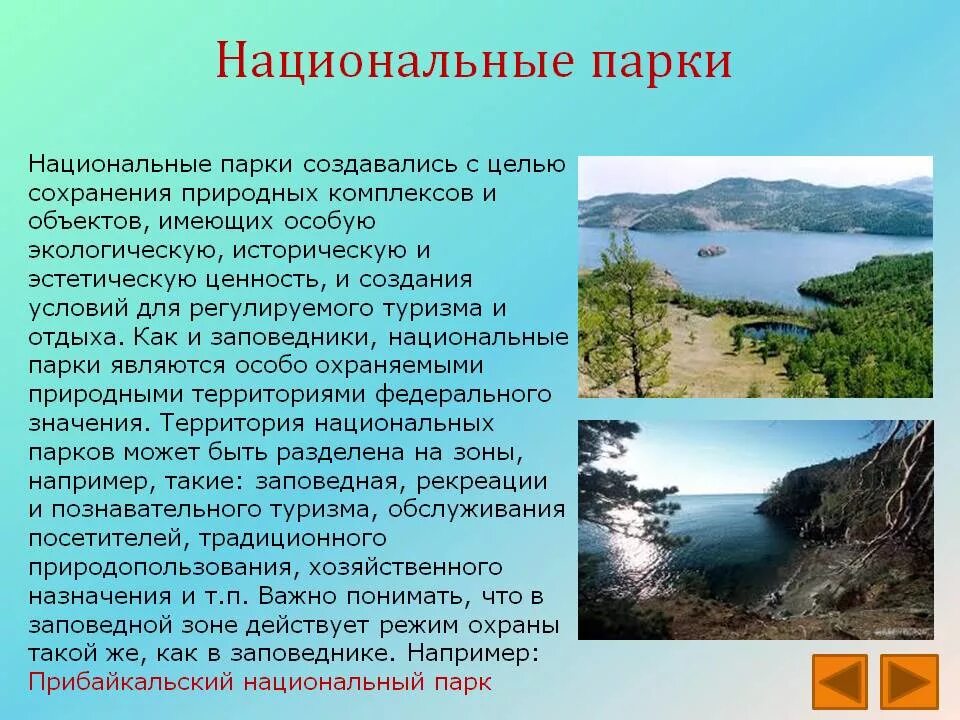 Проект заповедники россии 4 класс. Заповедники и национальные парки России. Национальные парки России проект. Заповедники и национальные парки России проект. Проекнациональные парки.