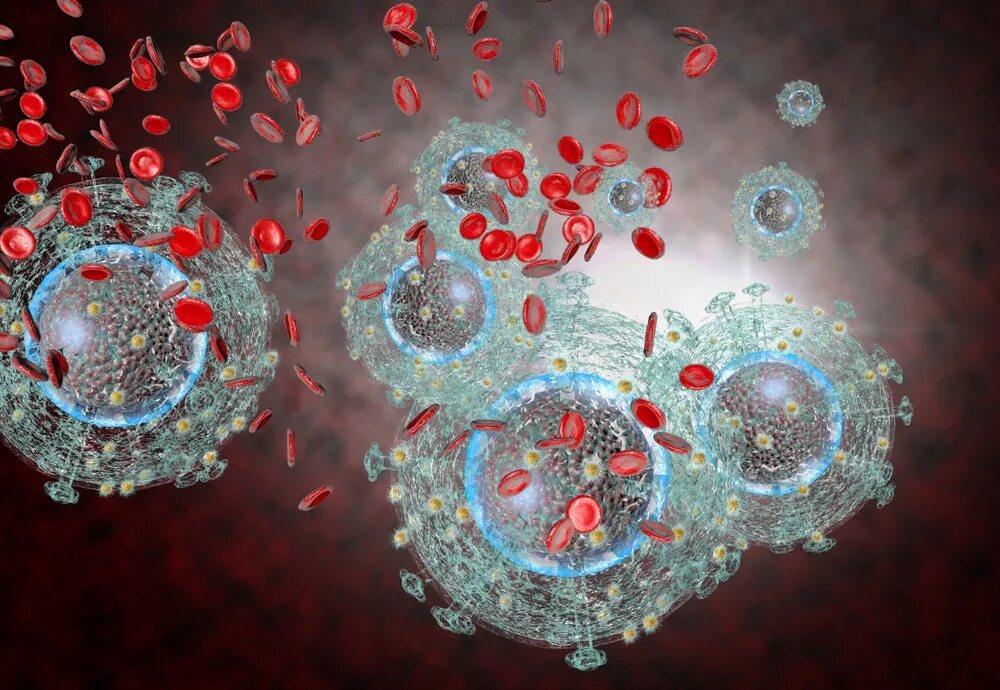 Вирус иммунодефицита человека (Human Immunodeficiency virus). Ретровирус ВИЧ. Иммунный глаз