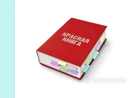 Международная красная книга видео
