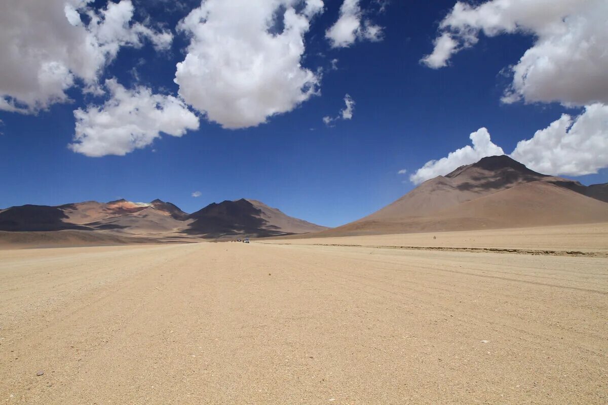 Пустыня каракум оазис. Desert day. Финиковая пальма в пустыне. Пустыня песок. Дали пустыня.