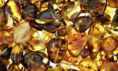 Amber meaning