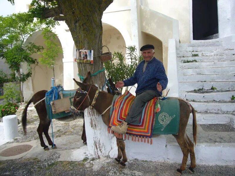 Кавказская пленница ишак. Иисус христос на ослике. Притча отец на осле. Иисус на ослике. Верхом на осле.