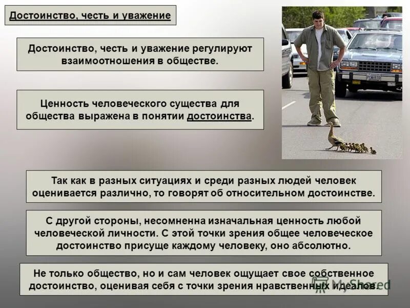 Сохранение и уважение достоинства. Семь основных принципов толерантности. Принцип уважения человеческого достоинства. Человеческое достоинство. Основополагающие принципы толерантности.