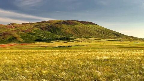 Джейн Дарлинг порно сағат