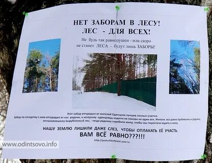 Северное города одинцово раскинулся подушкинский лес