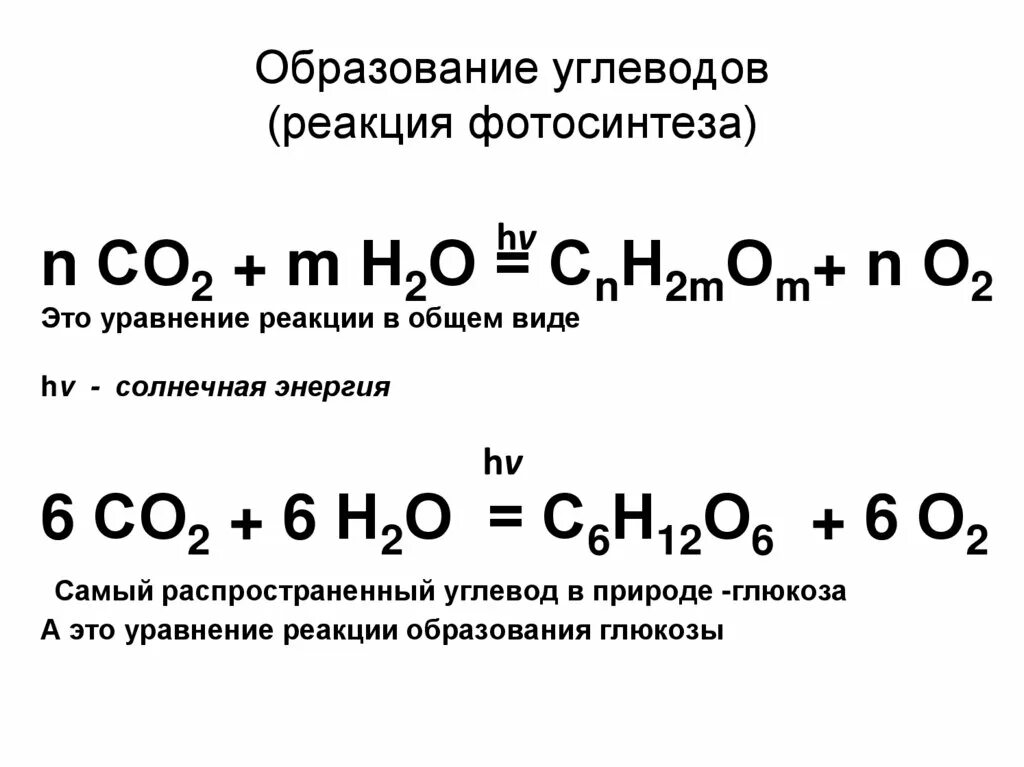 Co2 h2o фотосинтез. Уравнение образования углеводов. Уравнение процесса фотосинтеза. Реакция фотосинтеза. Уравнения реакций углеводов.