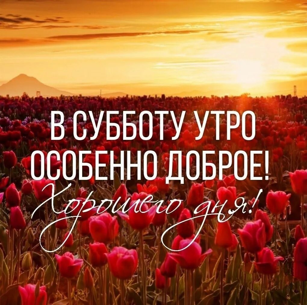Доброе утро субботы выходные. Доброе утро субботы. Доброе субботнее утро. Открытки с добрым утром субботы. Сдобрыс субботним утром.