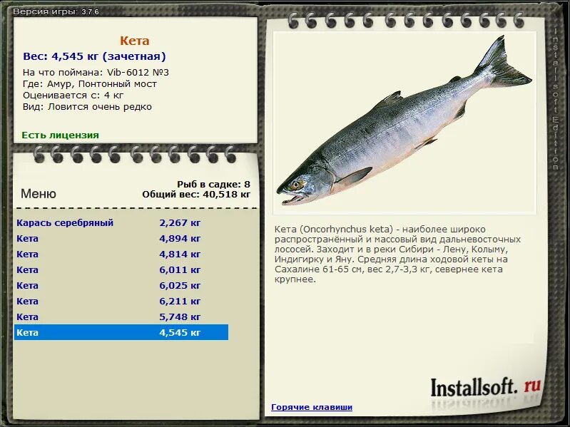 вес кеты максимальный. раху и кету кармические задачи. масса кету. раху и кету. лунные узлы овен - весы.