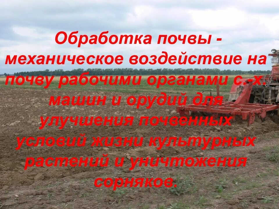 Рыхлить землю граблями. Подготовка земли к посадке. Почва в саду. Почва в руках. Плодородие почвы.