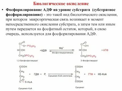 Водных растворах во время стерилизации подвергается окислению