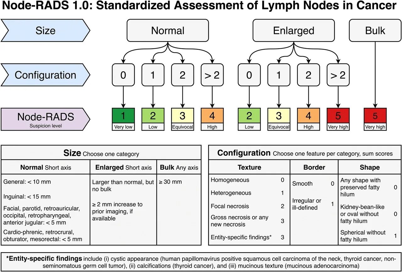 Node-rads2. Tirads классификация узлов щитовидной. Node rads классификация лимфоузлов. Node-rads 3. Rad на русском