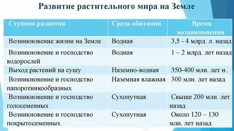 Происхождение растений основные этапы развития