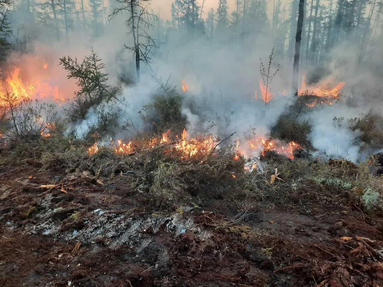 Пожары в Якутии 2021. Лесные пожары в Якутии 2021. Лесные пожары в Якутии 2022. Тушение лесных пожаров в Якутии.