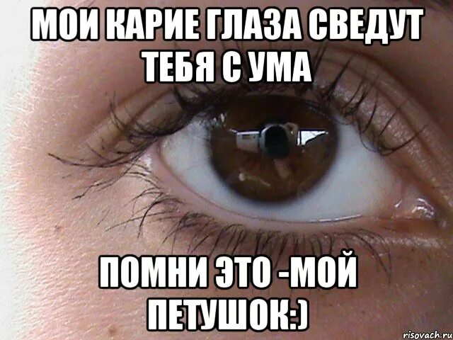 Шутки про глаза. Шутки про глаза смешные. Карий глаз прикол. Шутки про карие глаза.