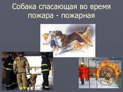 Безопасность спасет мир
