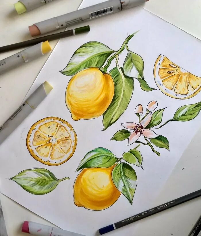 Рисование маркерами для скетчинга. Аксинья ла палома акварель. Маркеры для скетчинга. Скетчинг. Скетчи для рисования.