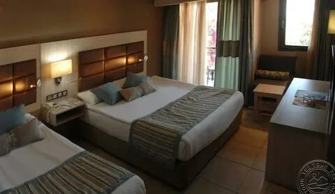 Palmeras beach hotel отзывы