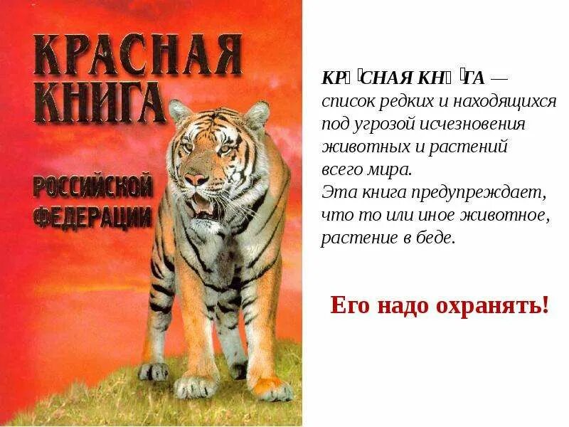 Книга о россии 4 класс. Красная книга. Красная книга России. Красная книга России. Животные. Проект красная книга России.