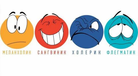Сангвиник сильный уравновешенный инертный