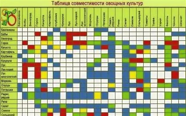 Соседство ростов. Товарное соседство овощей и фруктов в магазине. Таблица совместимости овощных культур. Товарное соседство фруктов. Совместимость фруктов и овощей.